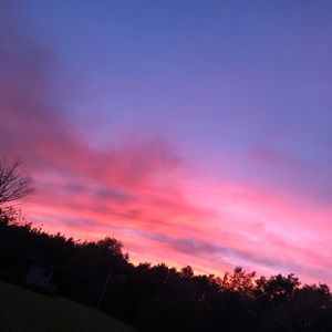 Meet your Posher, Cat